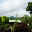 웰리힐리파크 관광단지 이미지