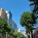 중화주가명정루 | 선릉역 중국집 명정루 대표메뉴 중화국밥 솔직 후기