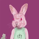 우사미 이미지