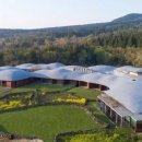 호텔 봄 이미지