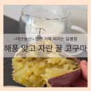 정성농산 | 입안 가득 퍼지는 달콤함! 태안농산 해풍 맞고 자란 꿀 고구마 🍠