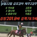 양일로2R 네이버블로그