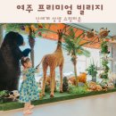 여주 프리미엄 빌리지 신세계 상생 쇼핑타운 방문 후기