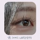 영통속눈썹 추천 영통 스타티스 LED속눈썹연장 후기