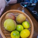 주민슈퍼 | 내돈내산후기 / 구월동 주민이 포스팅하는 오징어슈퍼