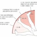 리투퍼운동센터