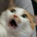 애월 주스테이 네이버블로그