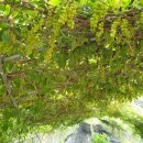 화선농장 이미지