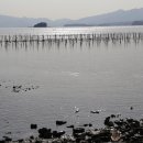 비토해양낚시공원 이미지