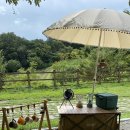 금성(아) 이미지