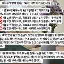 쁘띠뽀네 이미지