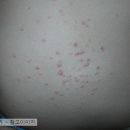 보명한의원 이미지