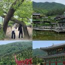 남사-23 | 산청가족여행코스 가볼만한곳 추천 남사예담촌, 수선사, 동의보감촌