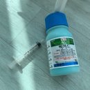 금산농약사 | 바질 뿌리파리 퇴치용 빅카드 사용후기