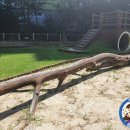 해오름 유치원 놀이터 이미지