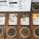 룩앳더바리스타 이미지