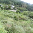 물안개 펜션 이미지