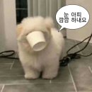 3월..?