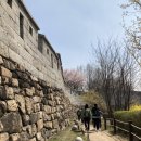 펜 드로잉(중급반) 이미지