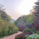 오도산자연휴양림(합천) 이미지