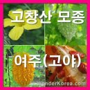 방게농장 이미지