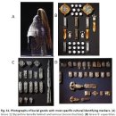 Ancient genome-wide analyses infer kinship structure in an Early Medieval Alemannic graveyard 2018 이미지