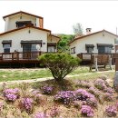 과수원속야채밭