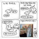 수키도키 덕질 - 쥐순이의 보석함 팝업, 상반기 팝업 후기 만화 &amp; 수키도키 편지 답장 만화