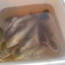 삽교호관광지 이미지