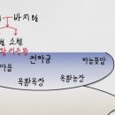 대별농장 티스토리