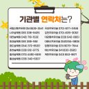 비타민 숲 이미지