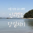 사정전동대여 | 신시모도 당일치기 | 전동스쿠터로 섬 한바퀴! 완벽 코스 추천 (feat. 휠프렌즈, 카페 마숙골)
