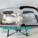 정품＃ | 잉글레시나 앱티카 듀오 끄레델몰 정품&amp;포토후기 등록 방법