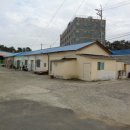율대주유소