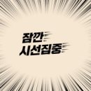 룸의정석