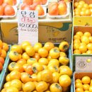 중동사랑시장 이미지