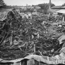 부흥 농장2 이미지