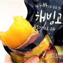 대일냉동