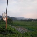 상역골천 | 충청남도 천안시 동남구 목천읍 서흥리 190 경매 답 .2017 타경 8769