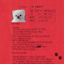 1447 | [#1447] 빙댕(양측 슬개골탈구 G3)의 수술후기