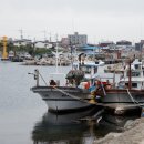 포항과학기술고등학교 이미지