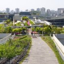 세종시민체육관 이미지