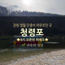 영월-8 | 영월 청령포 오픈런 후기｜8시 30분 전에 가야 하는 이유｜아이와 여행 필수코스