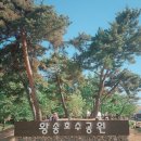 왕송호수작은도서관 | 의왕 레일바이크 후기 수도권 가족 나들이 추천 코스 왕송호수공원