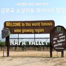 나파 | 나파밸리 투어 후기, 금문교 소살리토 와이너리 당일코스 총정리