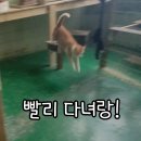 금동이네