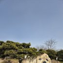 옷바구니장흥점 | 아이와 함께 가기 좋은 애견 동반 가능 전남 글램핑장ㅣ장흥 땡땡이글램핑