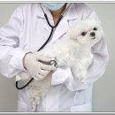 위드약품 이미지