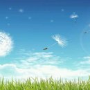 아름다운 여행 이미지