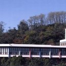 서강대학교 이미지